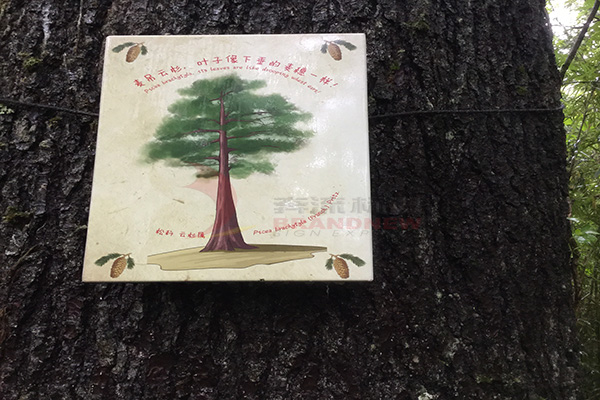 景區(qū)標(biāo)識色彩 景區(qū)標(biāo)識色彩