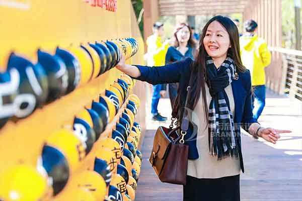 標識系統(tǒng) 標識系統(tǒng)