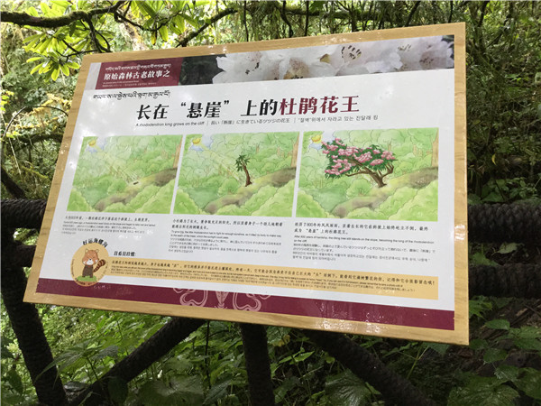 標(biāo)識設(shè)計(jì)制作 標(biāo)識設(shè)計(jì)制作